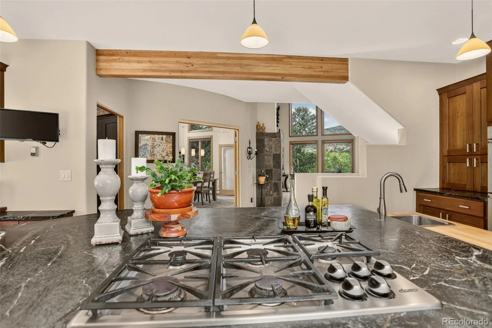 9193 S Buffalo Drive Littleton CO 80127 | MLS #REC4983777 08262026141739 1600 12