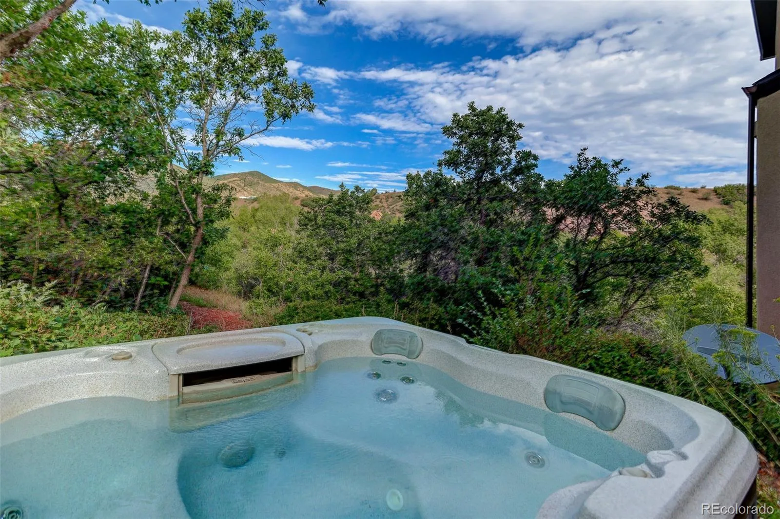 9193 S Buffalo Drive Littleton CO 80127 | MLS #REC4983777 08262026141739 1600 46