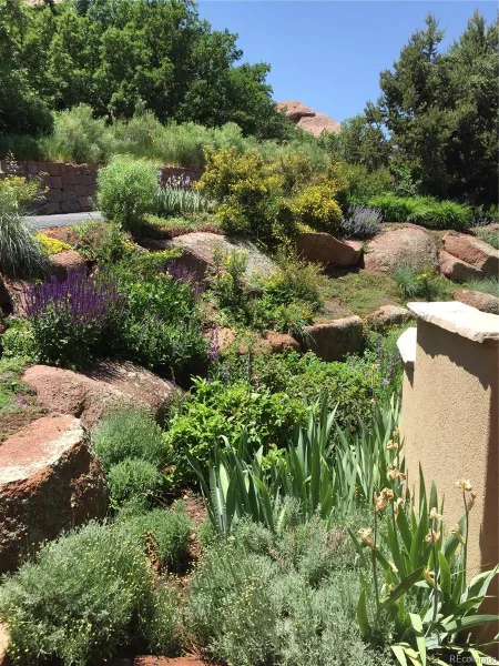 9193 S Buffalo Drive Littleton CO 80127 | MLS #REC4983777 08262026141739 800 3