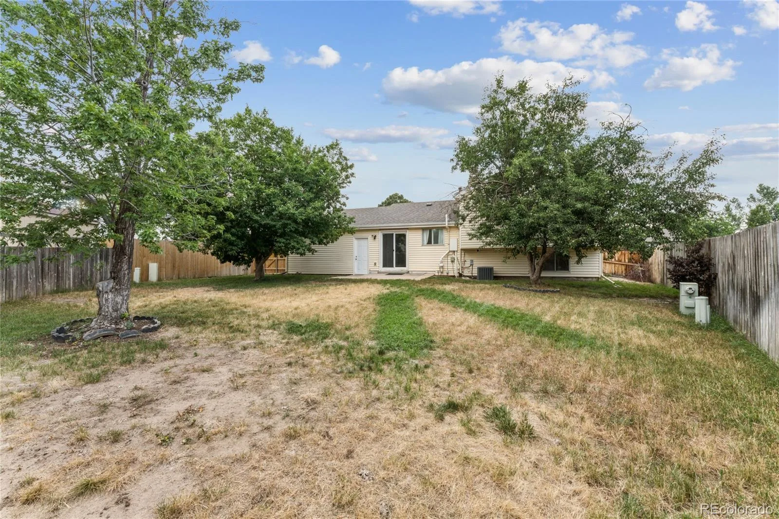 17156 E Progress Circle Aurora CO 80015 | MLS #REC4985848 07082026062603 1600 30