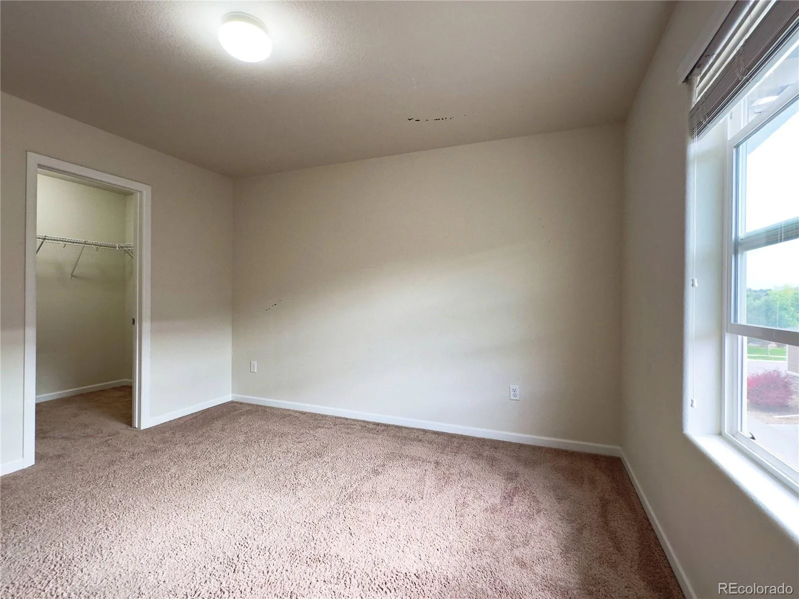 1578 Sepia Avenue Longmont CO 80501 | MLS #REC4990178 06092026000120 1600 19