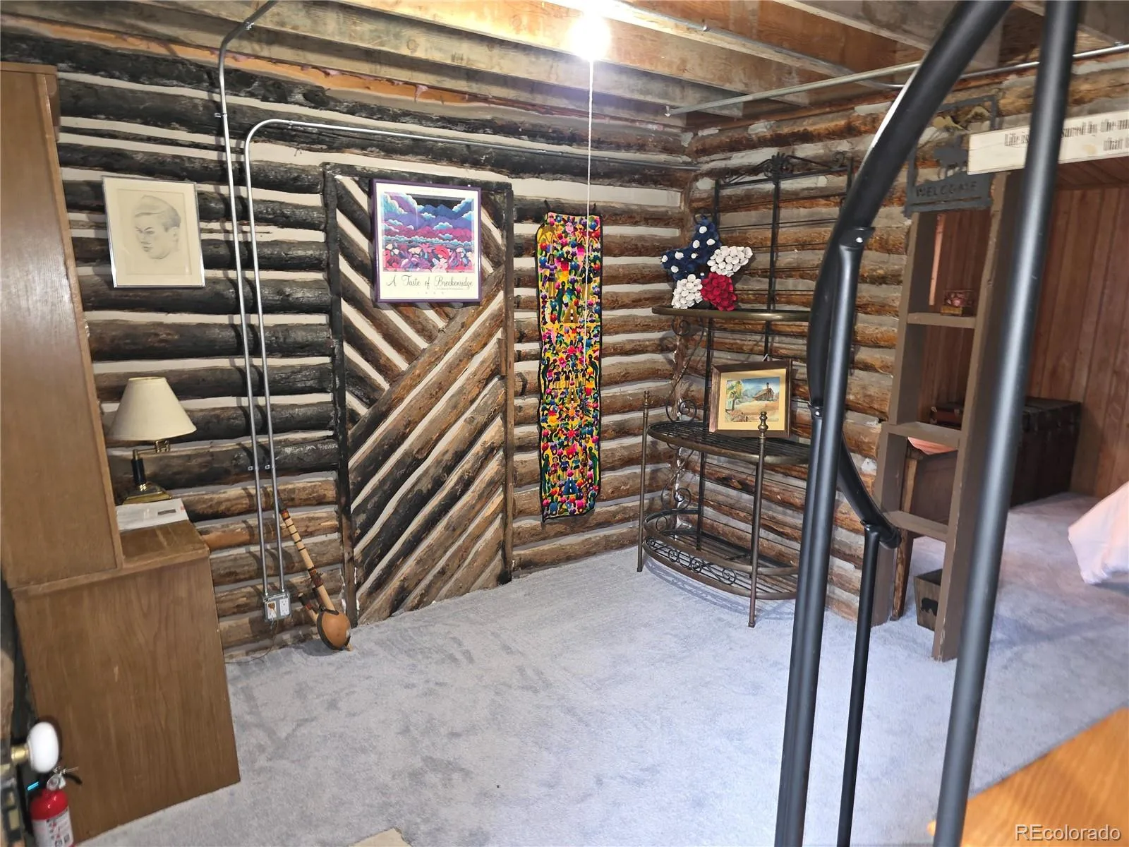 8830 Blue Creek Road Evergreen CO 80439 | MLS #REC4996446 07202026033907 1600 12