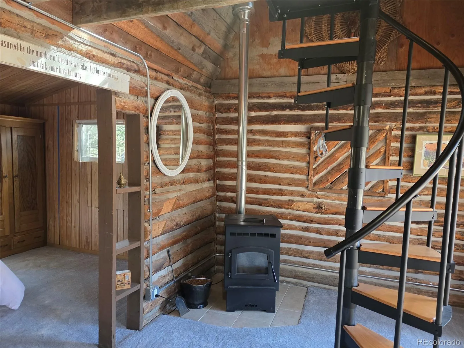 8830 Blue Creek Road Evergreen CO 80439 | MLS #REC4996446 07202026033907 1600 13
