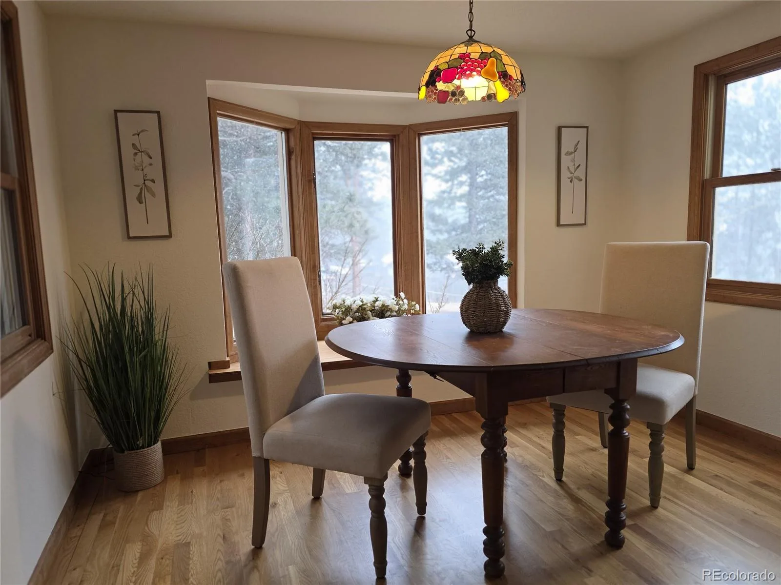 8830 Blue Creek Road Evergreen CO 80439 | MLS #REC4996446 07202026033907 1600 22