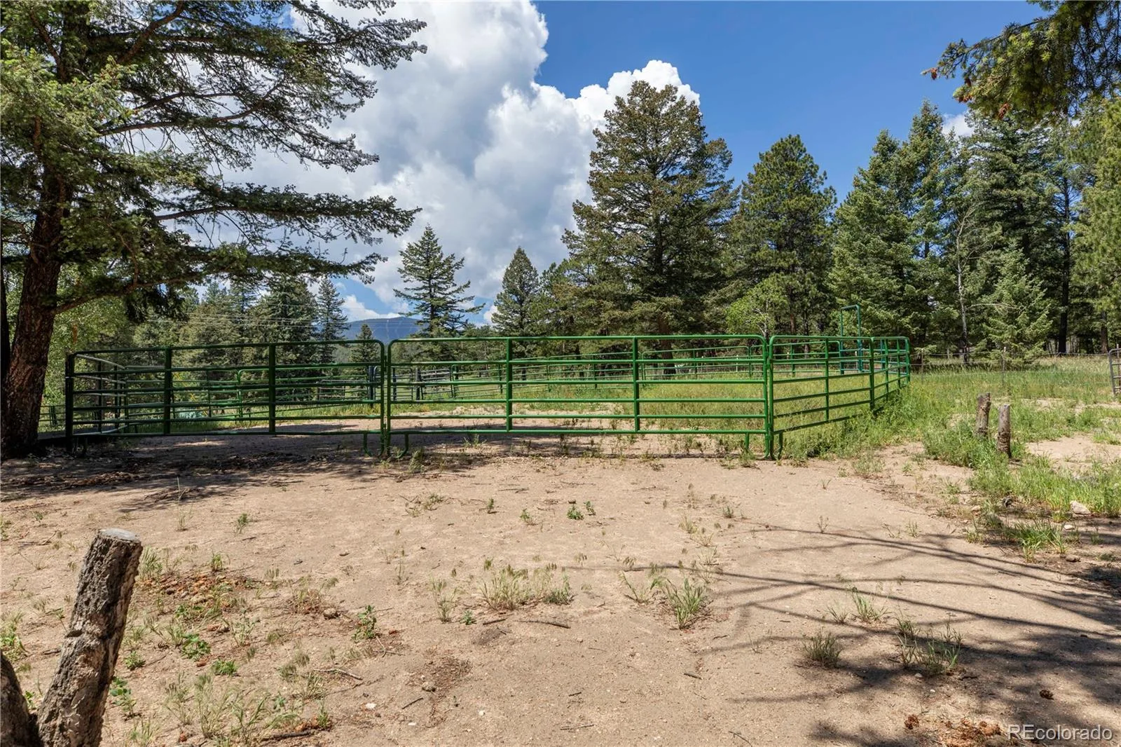 8830 Blue Creek Road Evergreen CO 80439 | MLS #REC4996446 07202026033907 1600 9