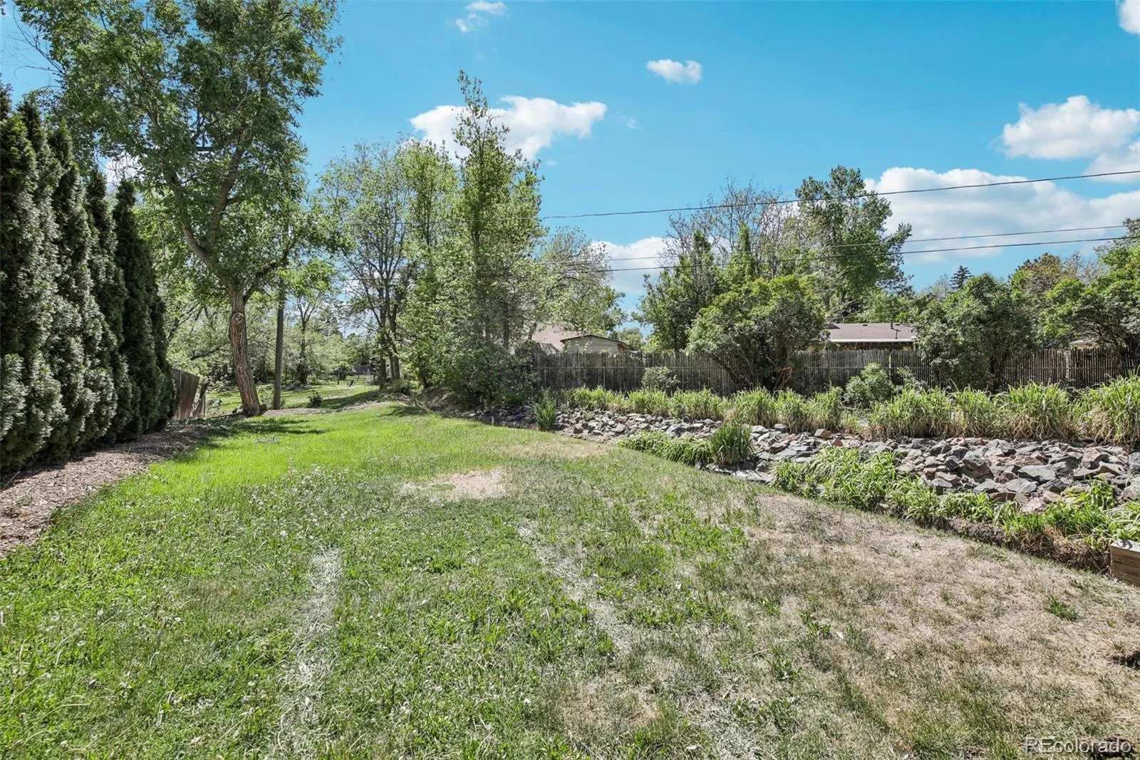 141 Zephyr Street Lakewood CO 80226 MLS #REC4997672 05182026190013 1600 25