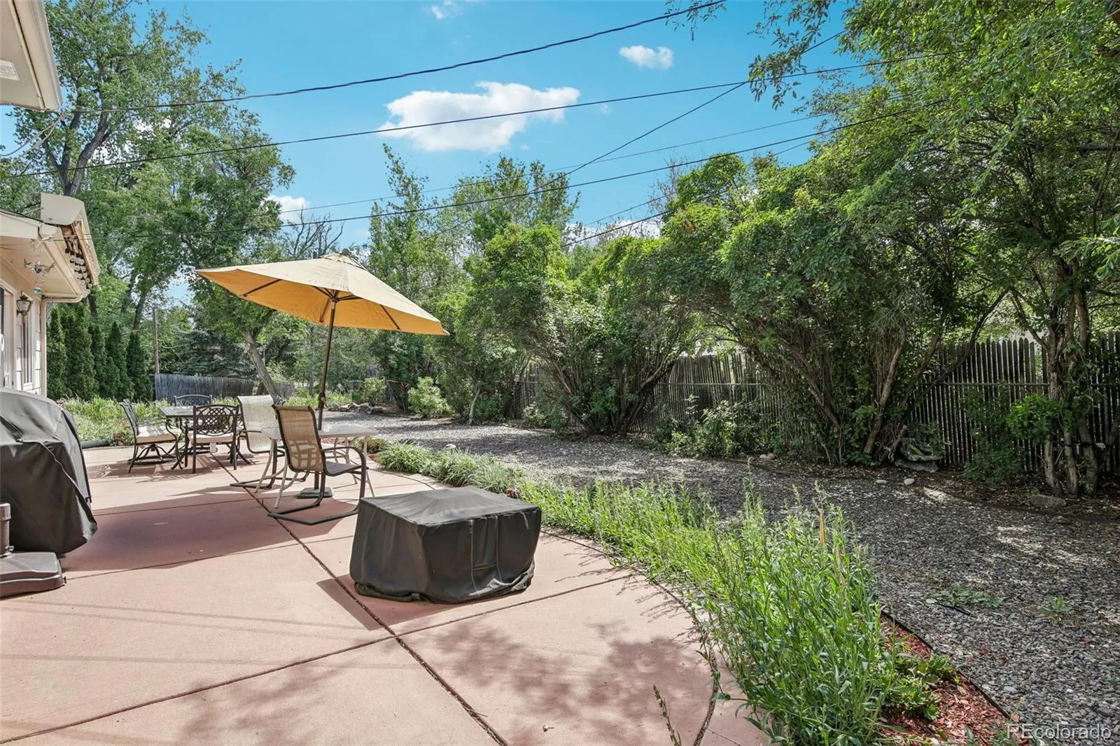 141 Zephyr Street Lakewood CO 80226 MLS #REC4997672 05182026190013 1600 31