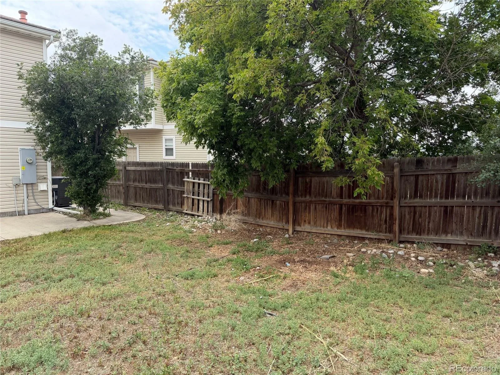 15333 E 98th Place Commerce City CO 80022 | MLS #REC5000767 07092026184855 1600 25