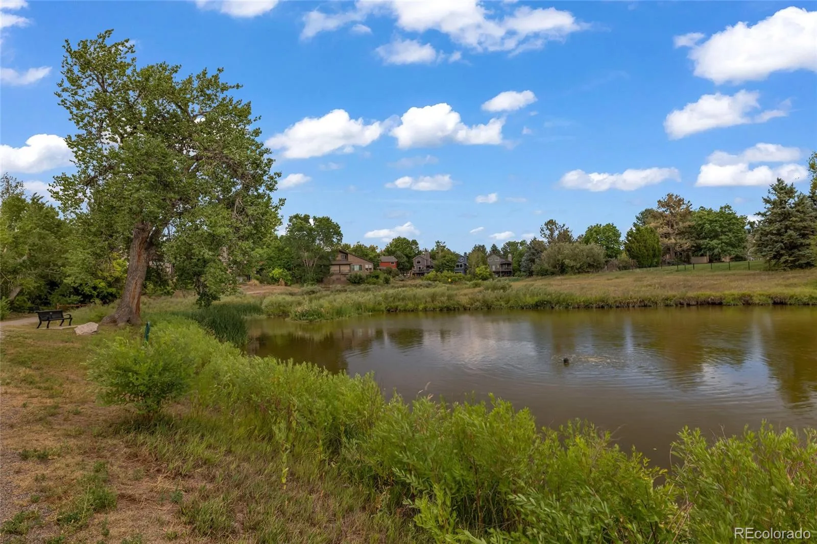 2005 W Davies Avenue Littleton CO 80120 | MLS #REC5004906 08212026031034 1600 40