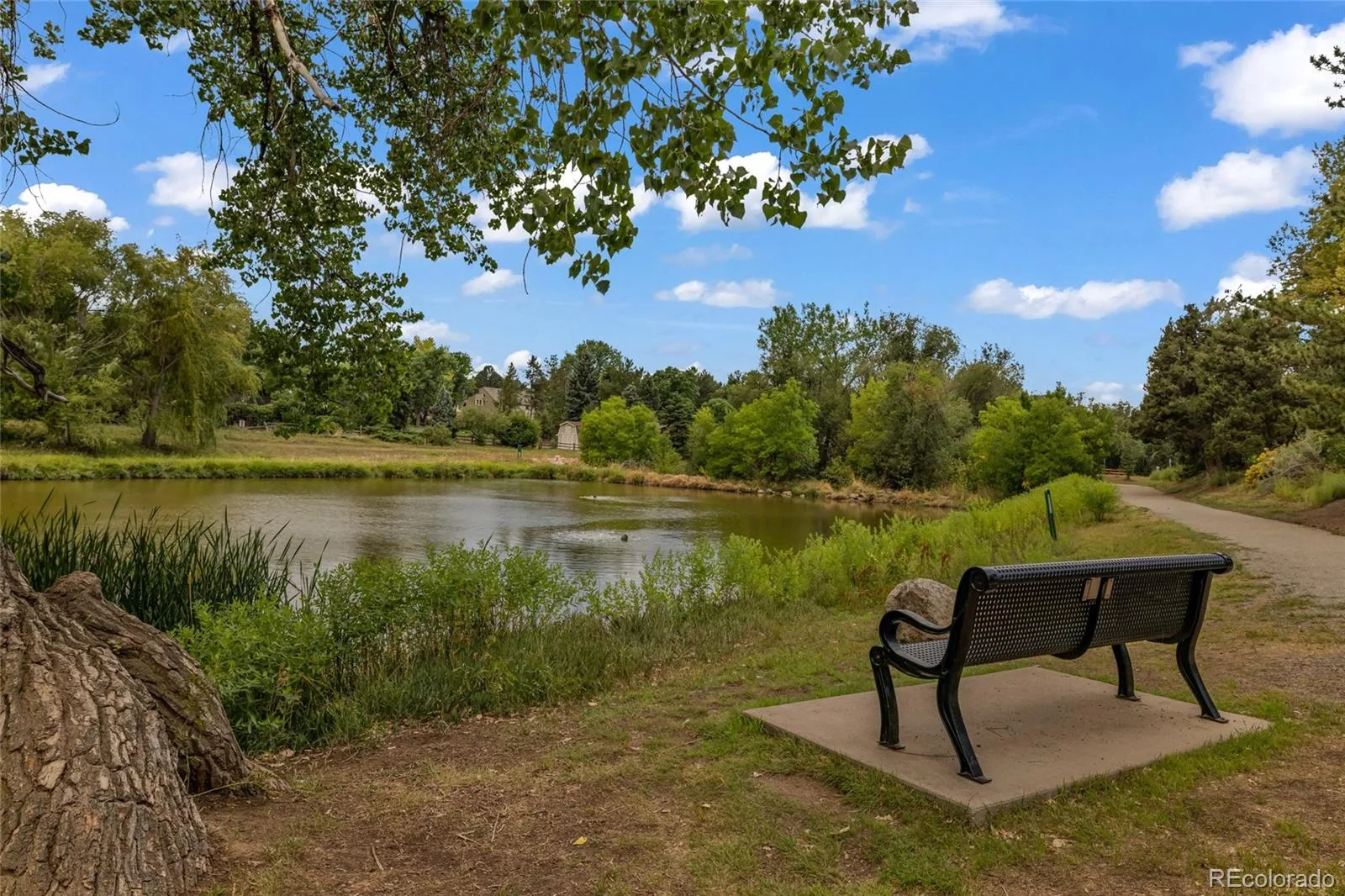 2005 W Davies Avenue Littleton CO 80120 | MLS #REC5004906 08212026031034 1600 43