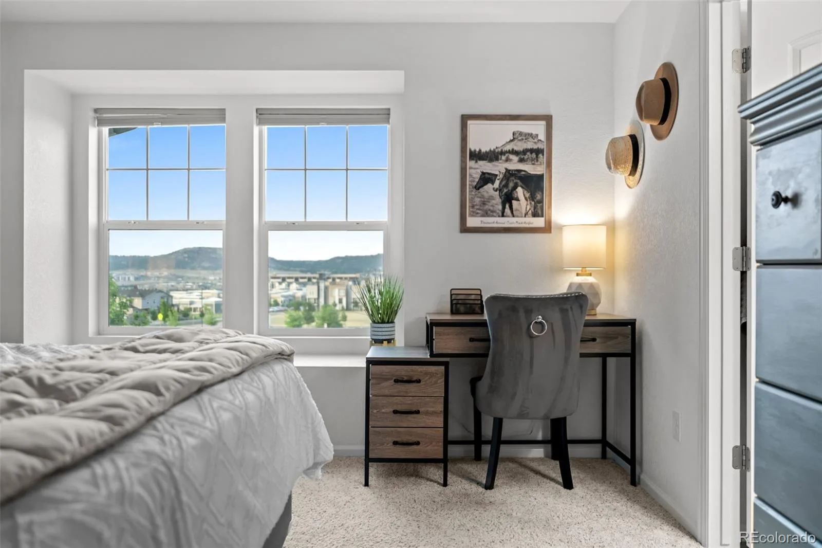 2928 Low Meadow Boulevard Castle Rock CO 80109 | MLS #REC5005092 07022026224159 1600 21