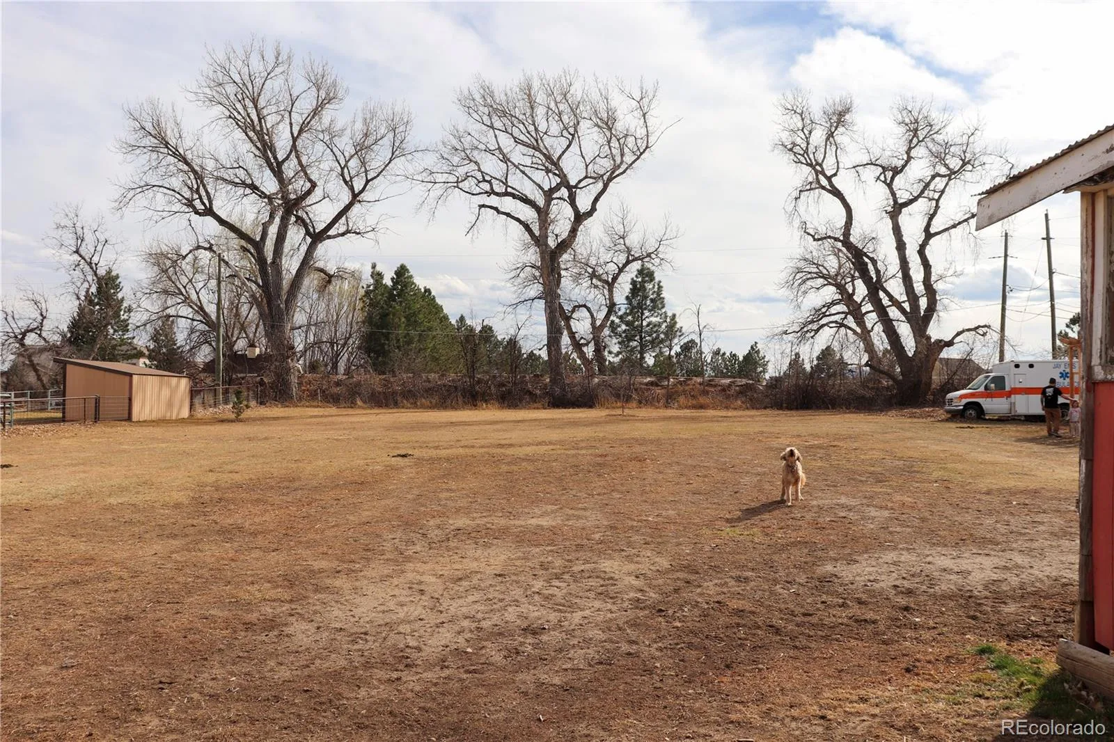 14206 W 74th Place Arvada CO 80007 | MLS #REC5018842 07242026163147 1600 13