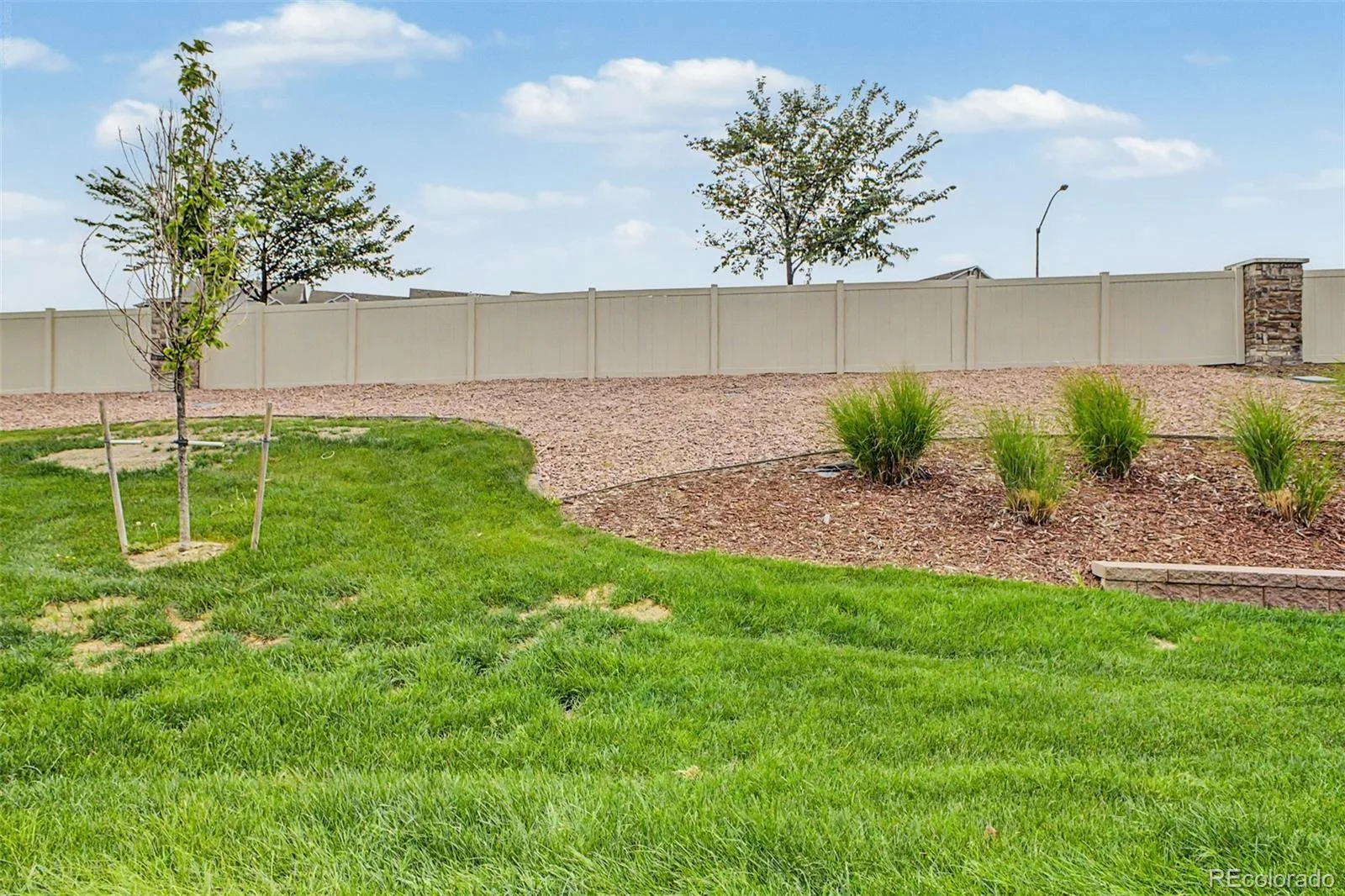 9729 Albion Lane Denver CO 80229 | MLS #REC5022522 06302026073730 1600 30