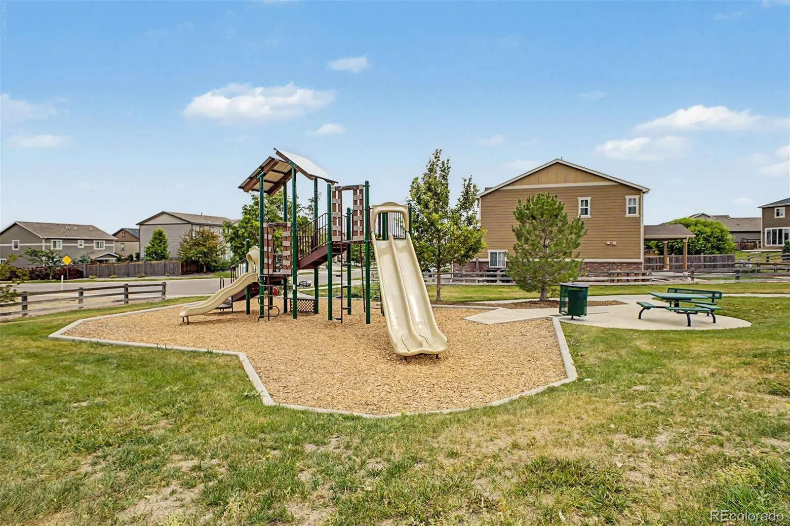 9729 Albion Lane Denver CO 80229 | MLS #REC5022522 06302026073730 1600 35