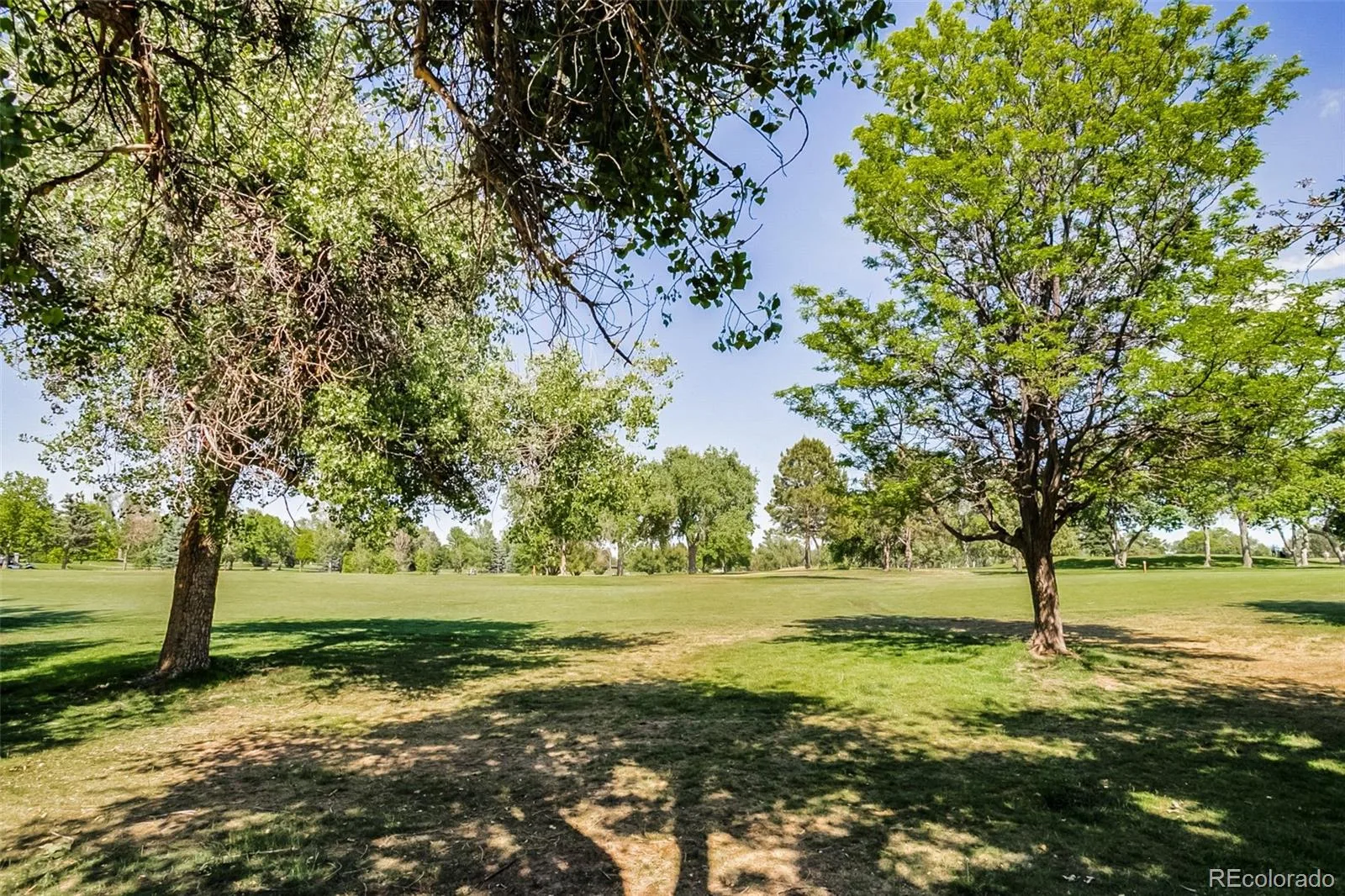 13843 E Lehigh Avenue #C Aurora CO 80014 MLS #REC5033554 06102026210849 1600 34