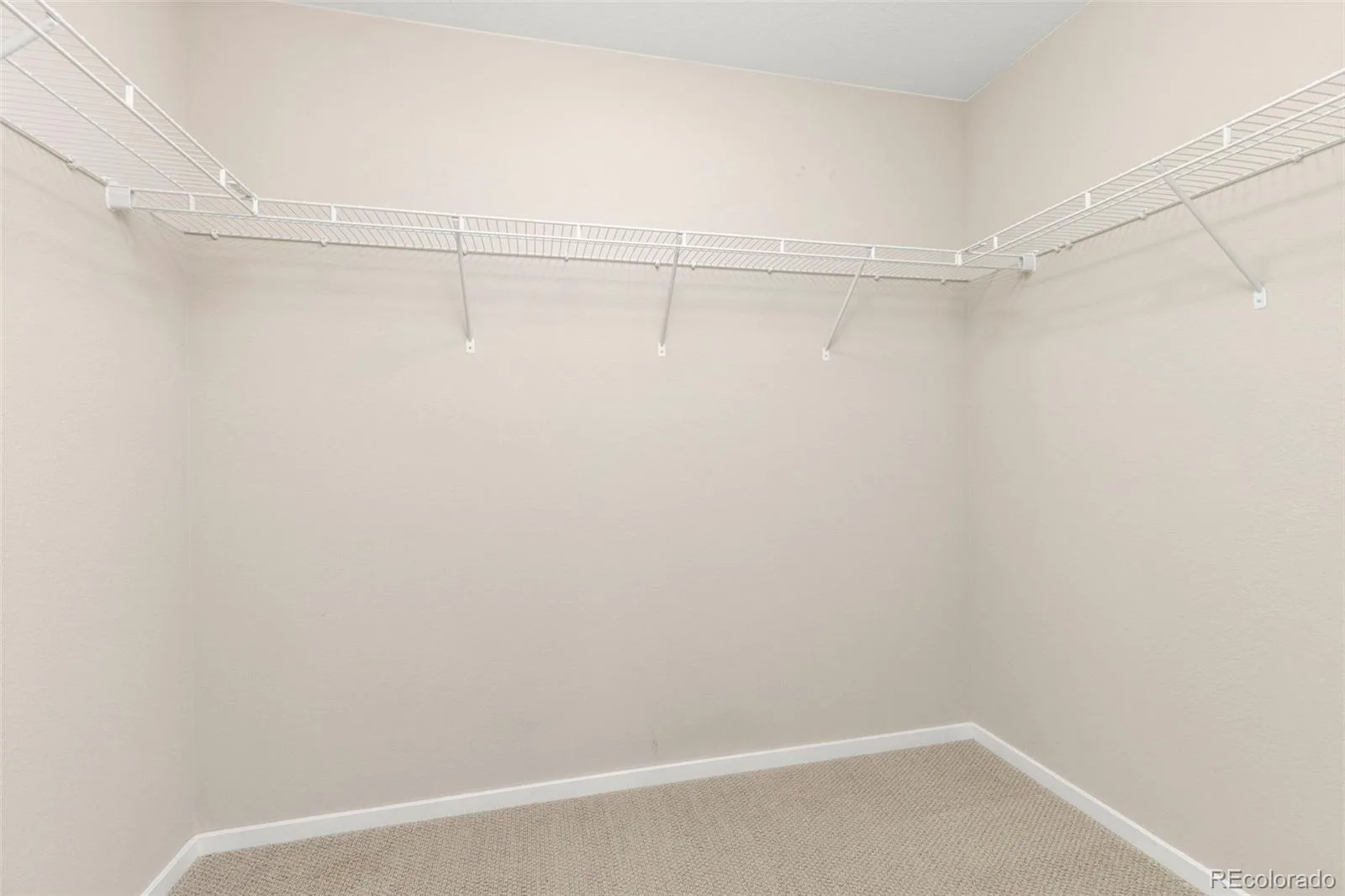 4674 N Bend Court Firestone CO 80504 | MLS #REC5034746 08282026045029 1600 17