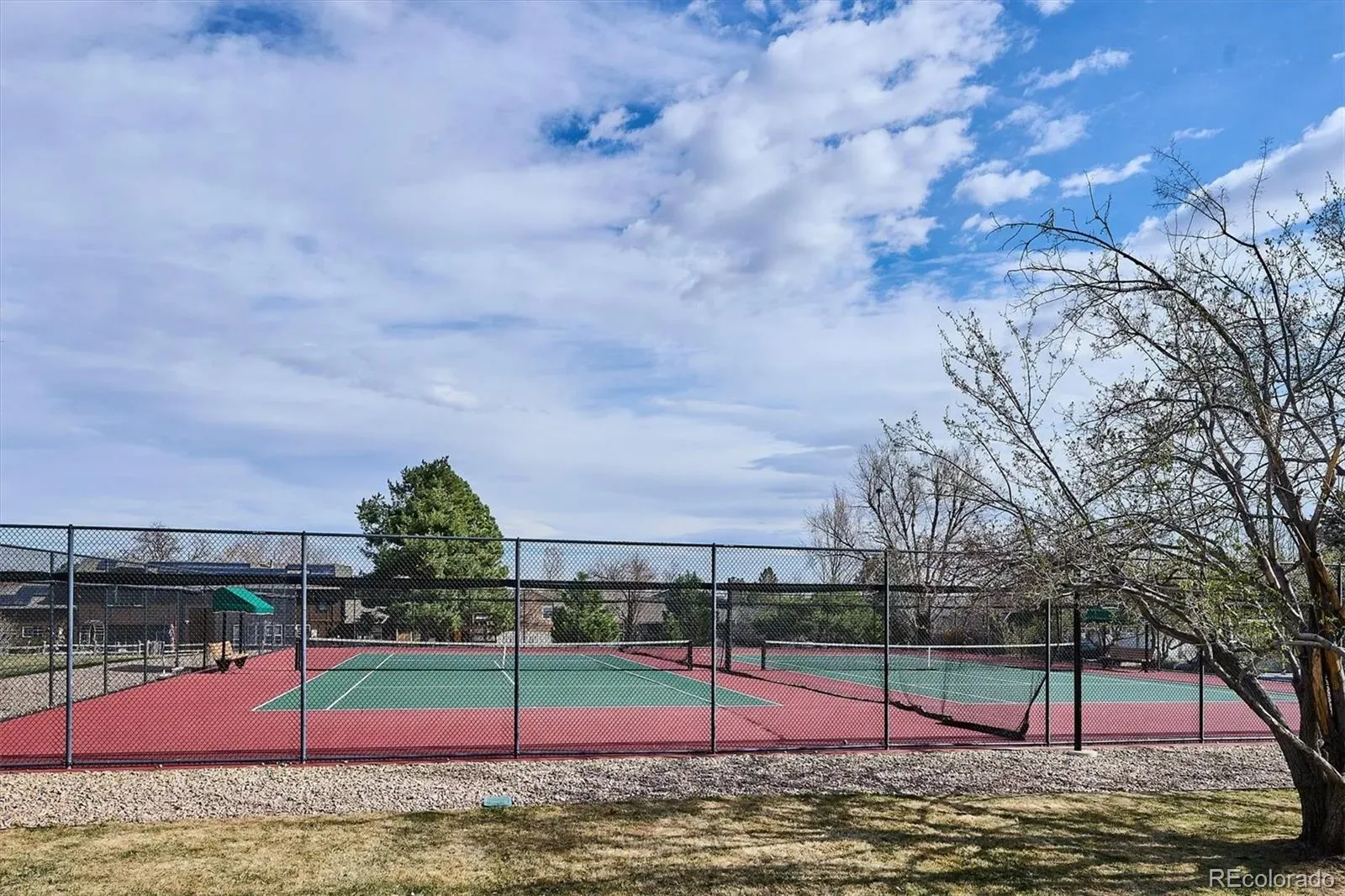 03312026221200 1600 43