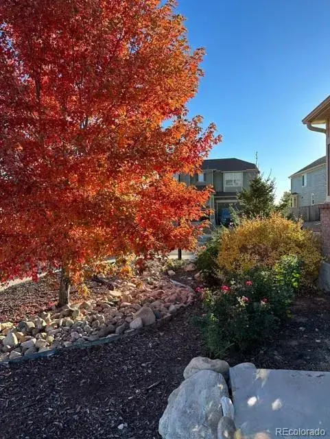 02182026145605 481 39