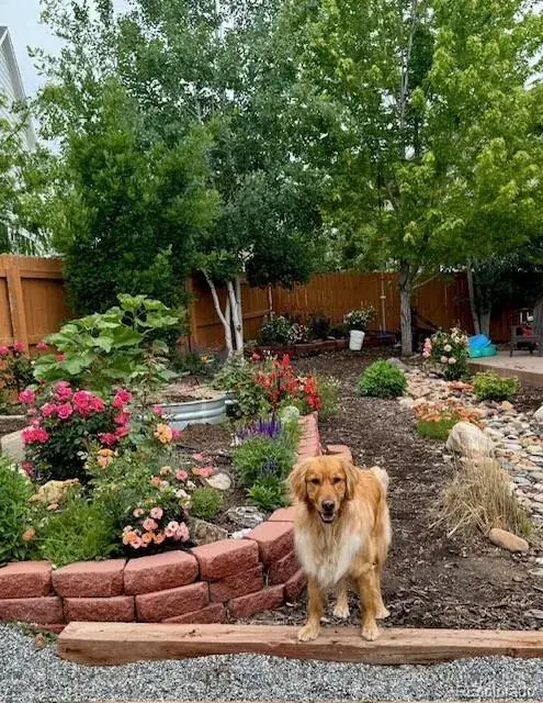 02182026145605 495 40