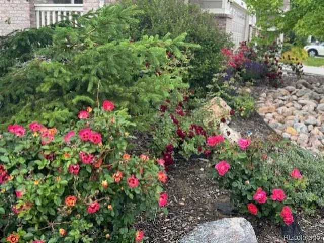 02182026145605 640 37