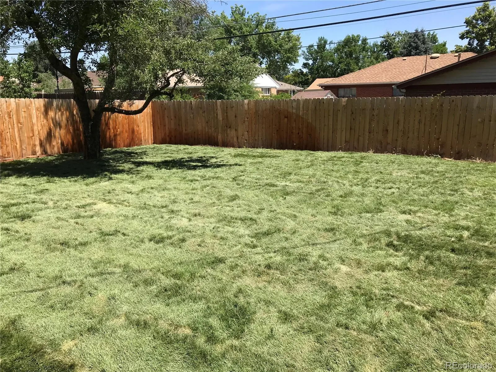 04202026222527 1600 40