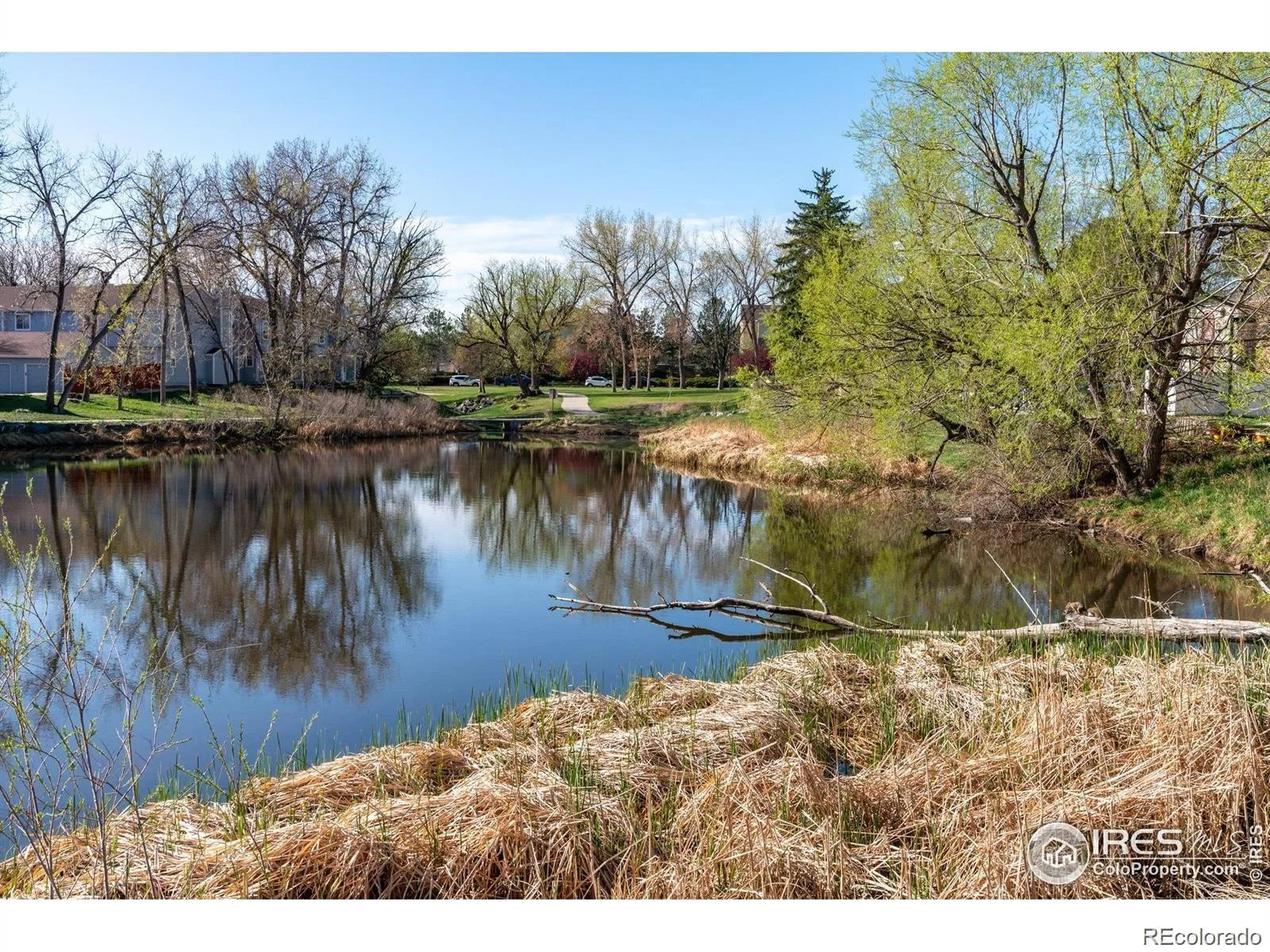 12108 Melody Drive #304 Denver CO 80234 | MLS #REC5044126 08272026095305 1600 31