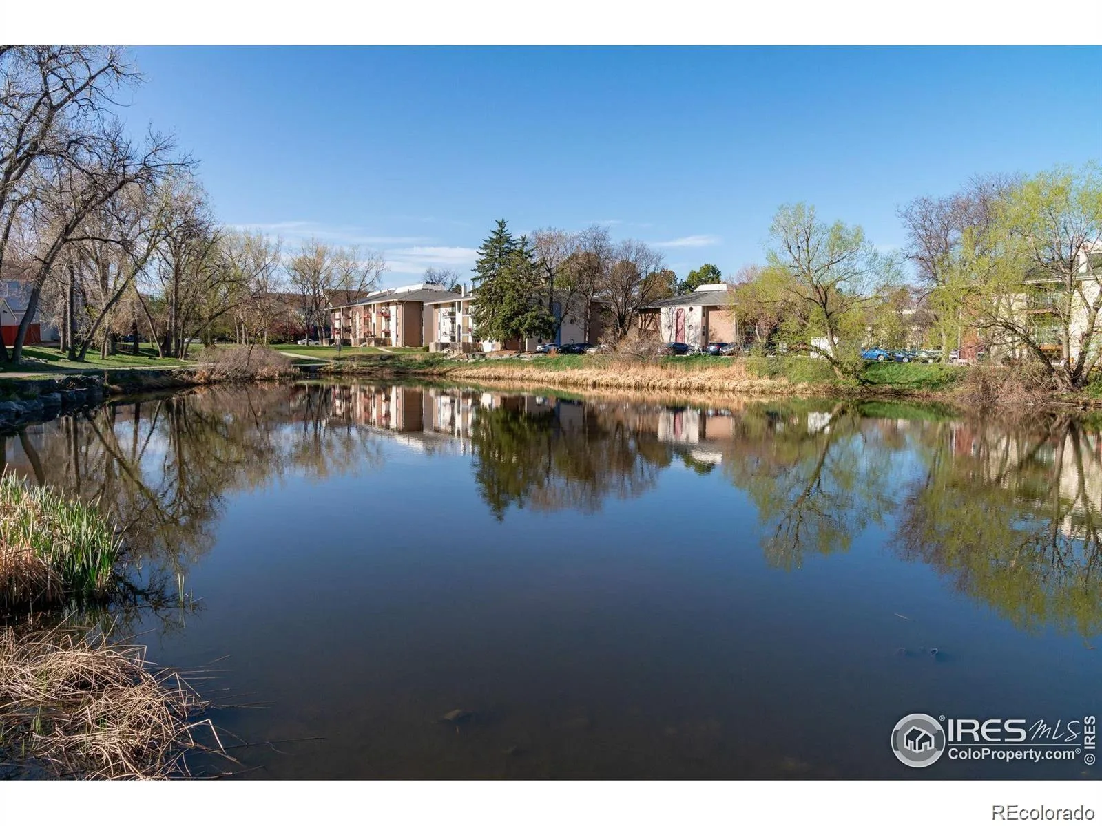 12108 Melody Drive #304 Denver CO 80234 | MLS #REC5044126 08272026095305 1600 33