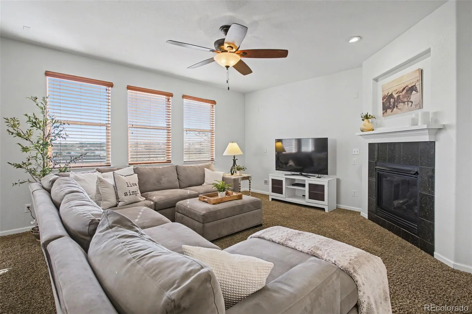 11952 Pine Top Street Parker CO 80138 | MLS #REC5047315 08222026015251 1600 17
