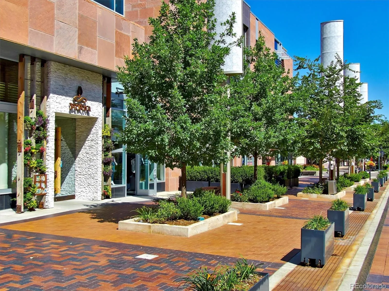 245 Gaylord Street Denver CO 80206 MLS #REC5062905 05162026080300 1600 35