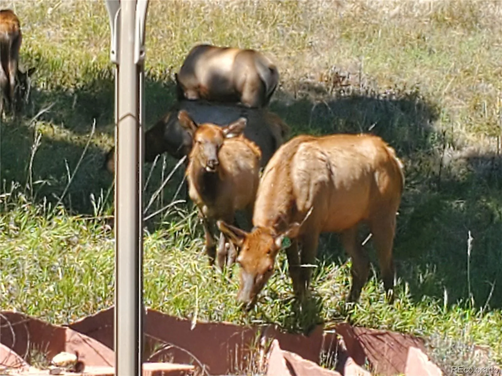 20883 Sky Meadow Lane Golden CO 80401 | MLS #REC5064370 08032026170744 1600 37
