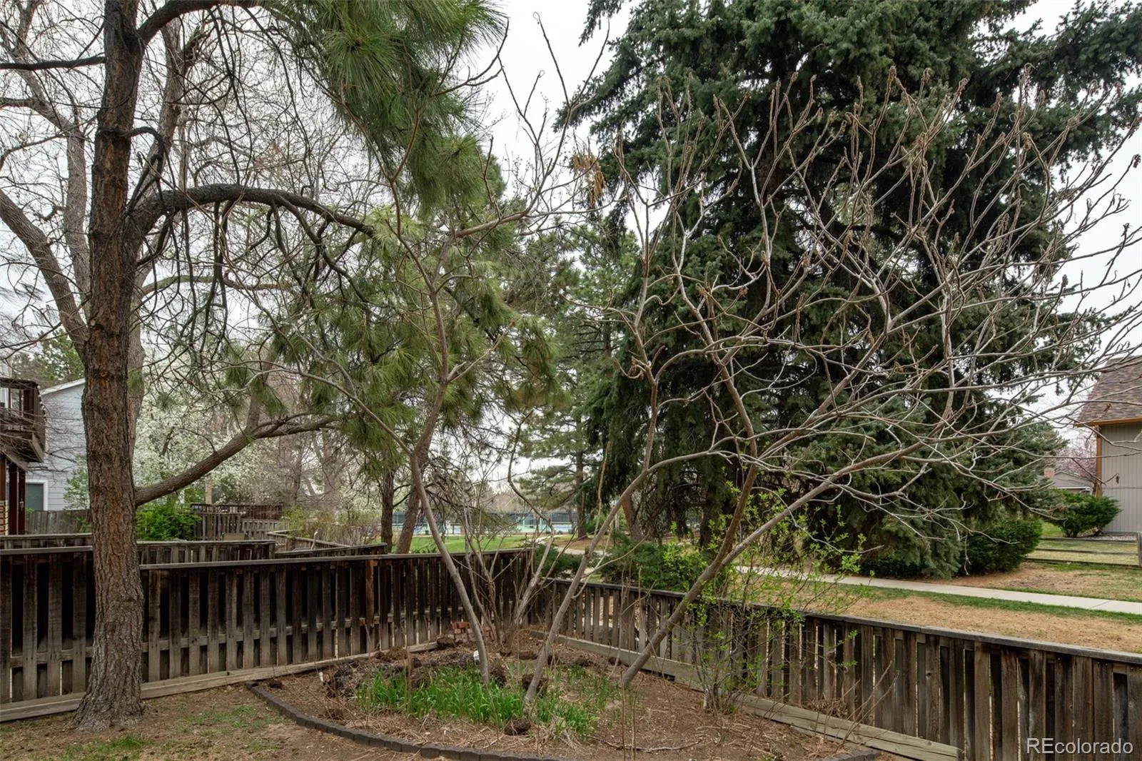 04152026183829 1600 35