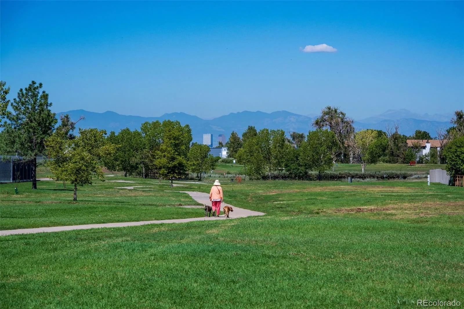829 S Nome Street Aurora CO 80012 | MLS #REC5067220 08242026153231 1600 35