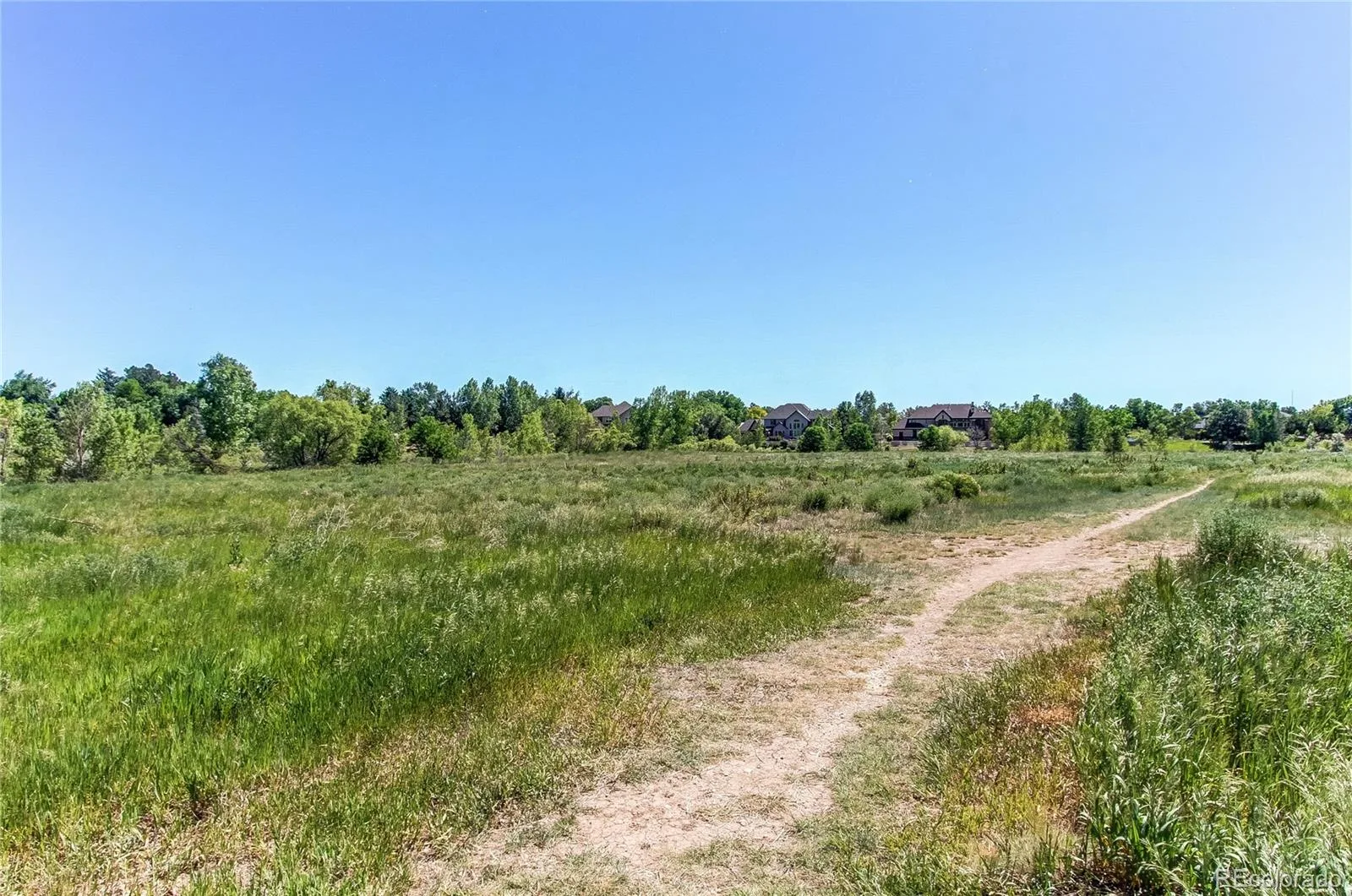 6084 W Utah Lane Denver CO 80232 | MLS #REC5068753 07032026161302 1600 25