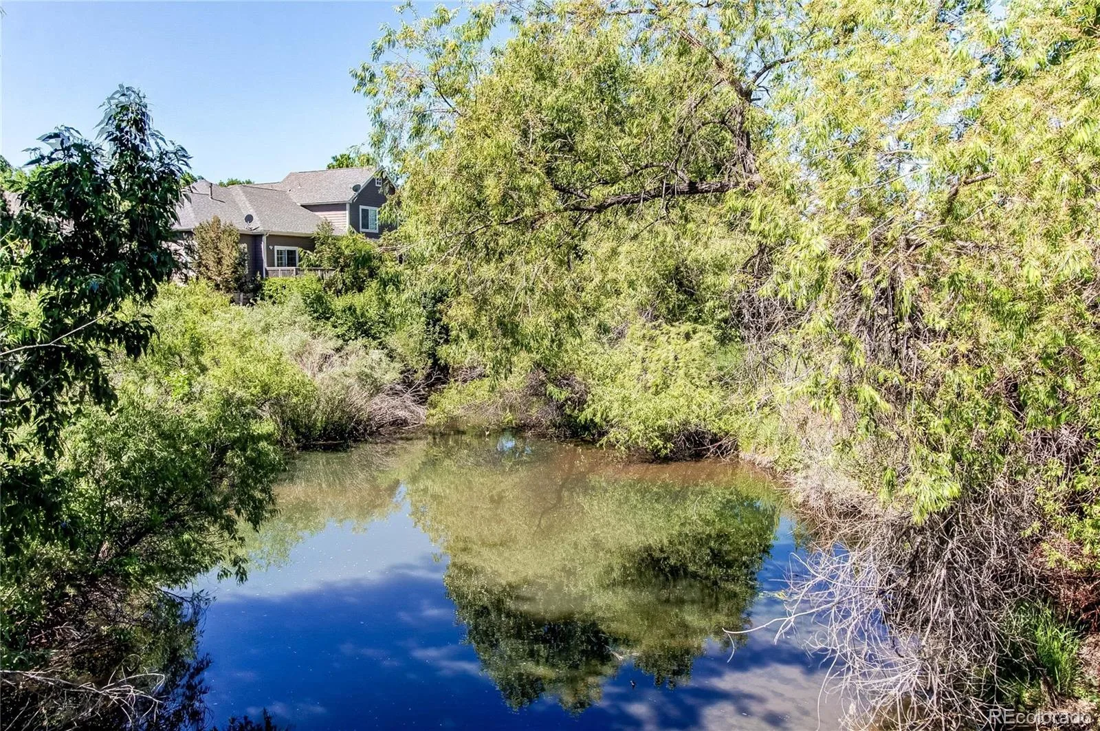 6084 W Utah Lane Denver CO 80232 | MLS #REC5068753 07032026161302 1600 27