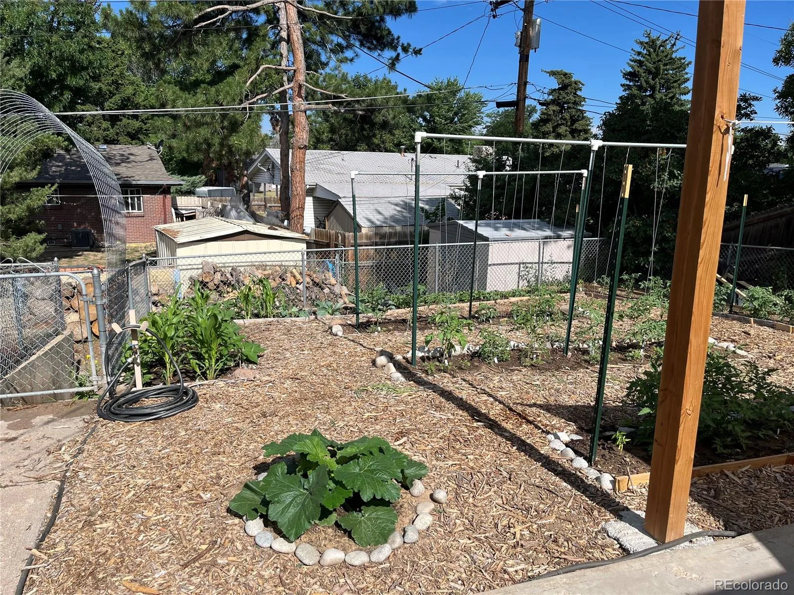 857 Iola Street Aurora CO 80010 | MLS #REC5069505 09232026030942 1600 32