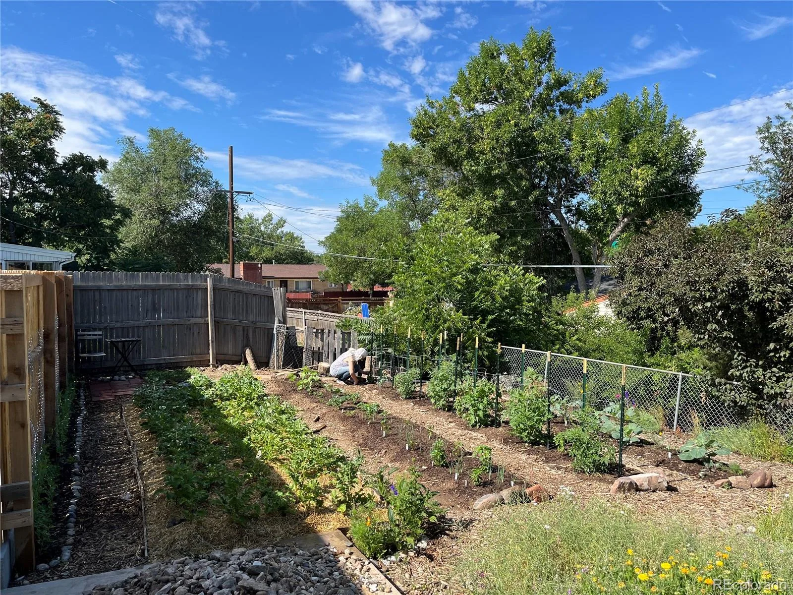 857 Iola Street Aurora CO 80010 | MLS #REC5069505 09232026030942 1600 34