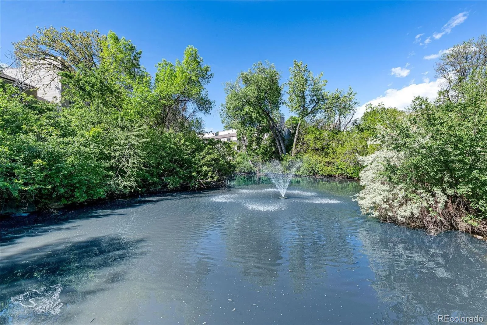 3550 S Harlan Street #119 Denver CO 80235 MLS #REC5069799 05222026220957 1600 34
