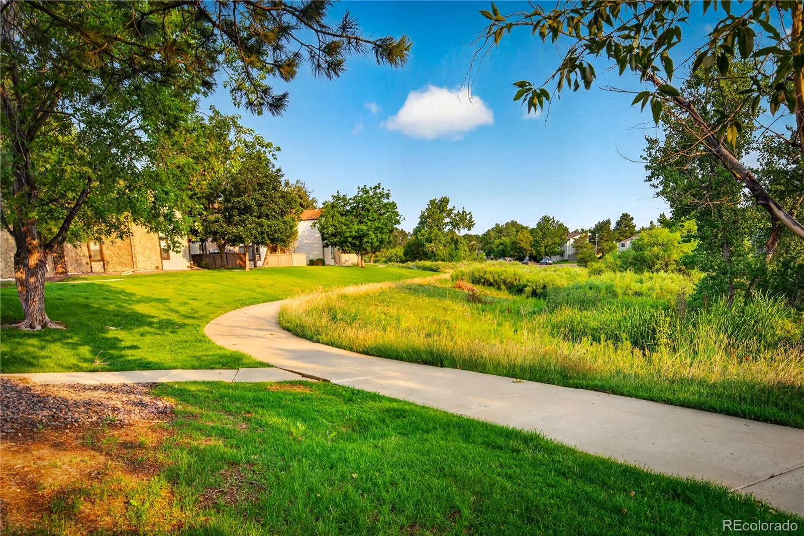 7820 W 87th Drive #B Arvada CO 80005 | MLS #REC5071977 07102026040625 1600 29