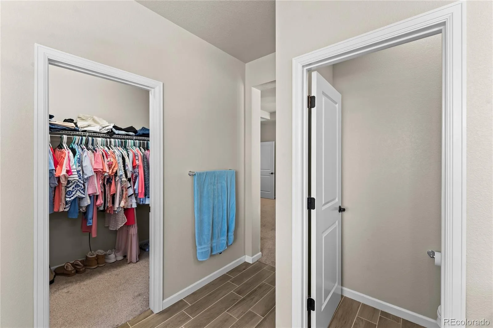3851 Long Rifle Drive Castle Rock CO 80108 | MLS #REC5073826 08312026234047 1600 22