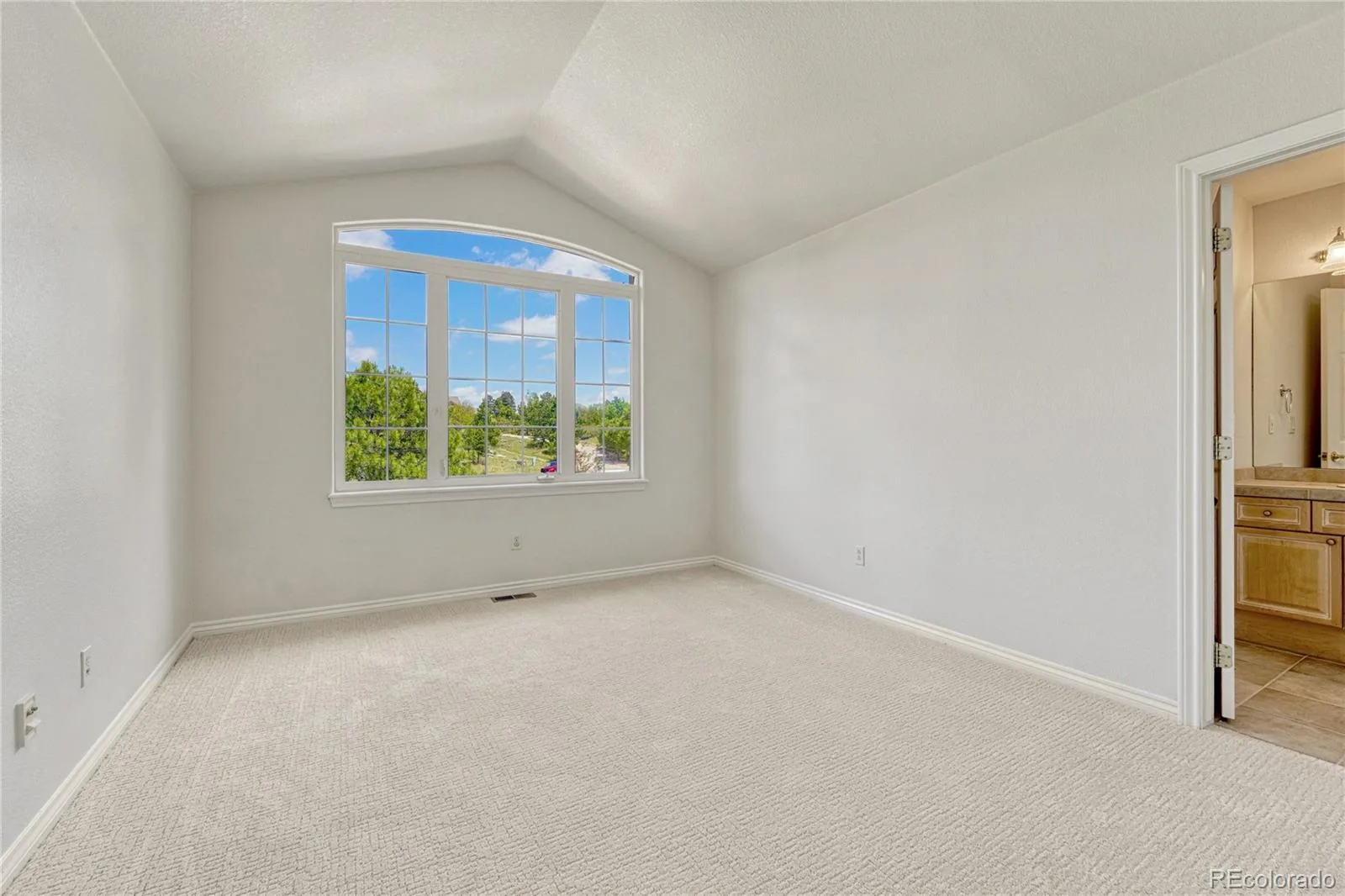7458 Gooseberry Court Parker CO 80134 MLS #REC5076883 06012026231423 1600 29