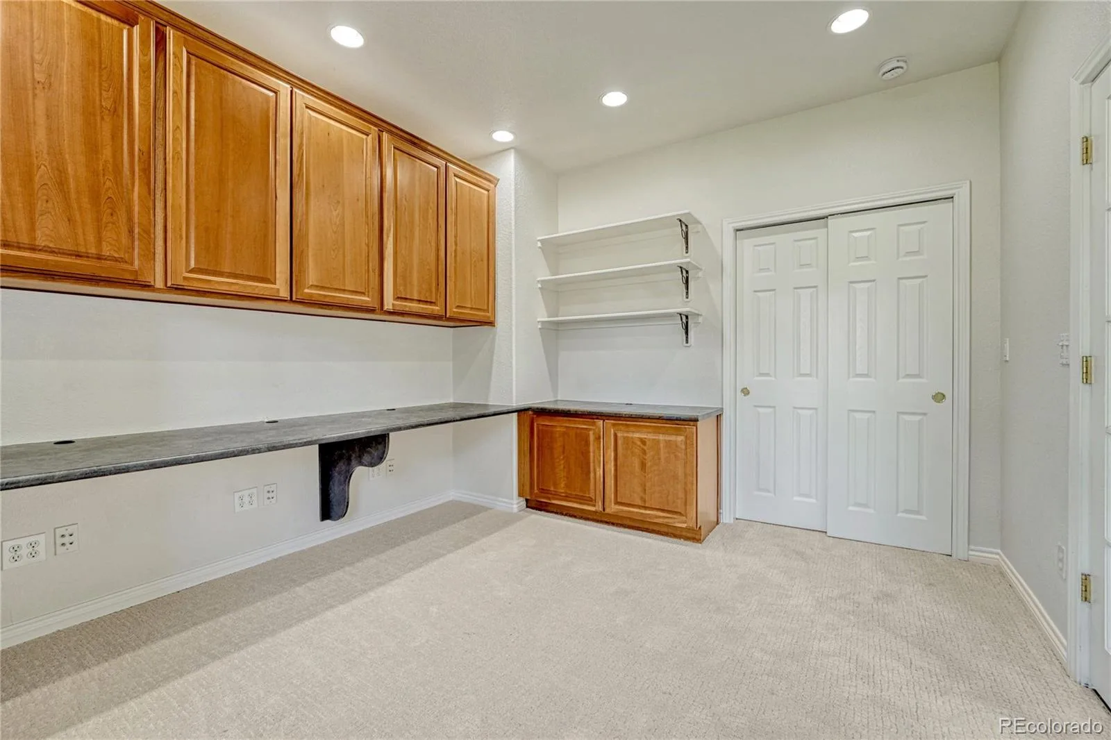 7458 Gooseberry Court Parker CO 80134 MLS #REC5076883 06012026231423 1600 35