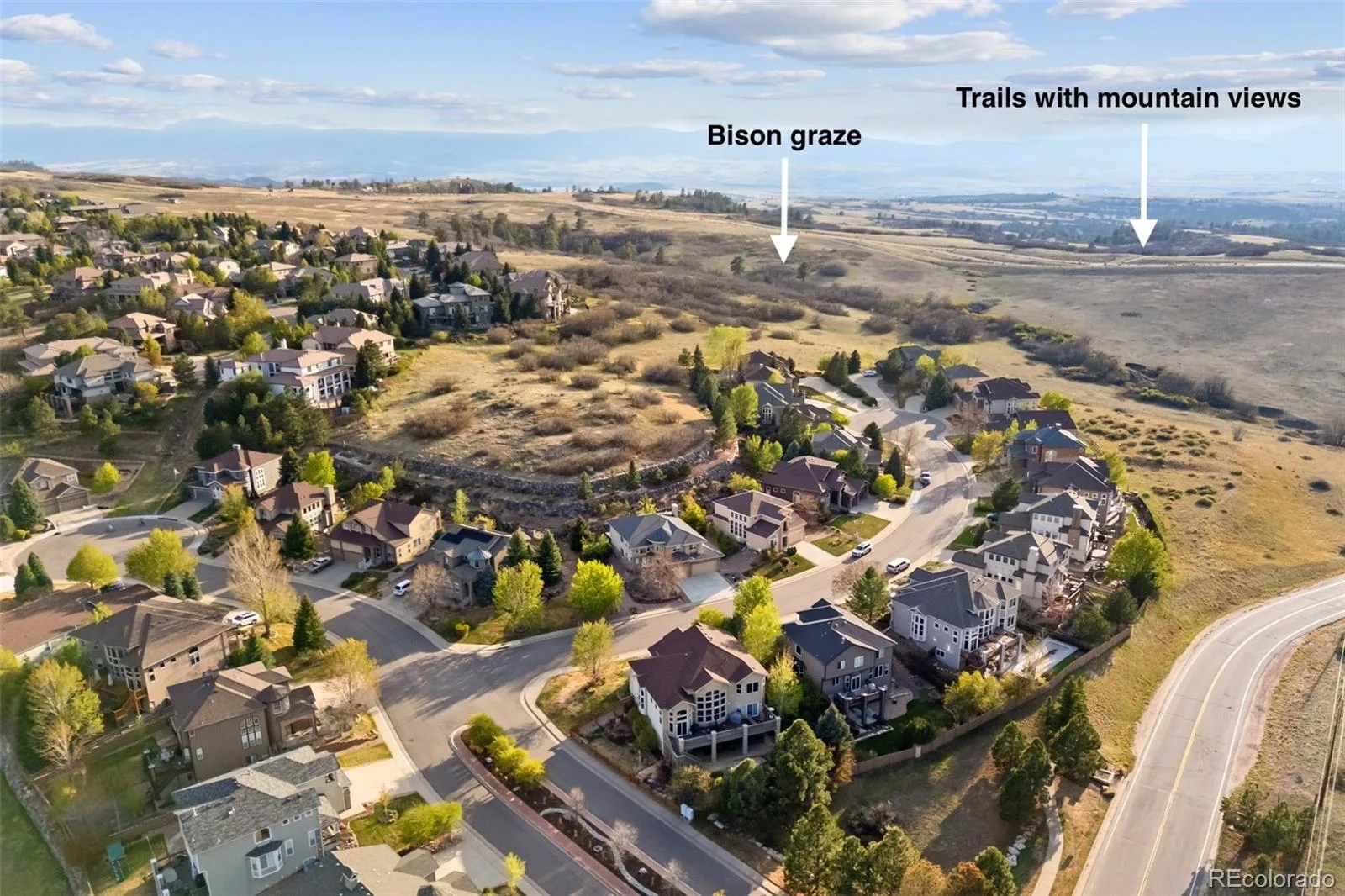 5861 Jasper Pointe Circle Castle Pines CO 80108 MLS #REC5081140 07092026230543 1600 38