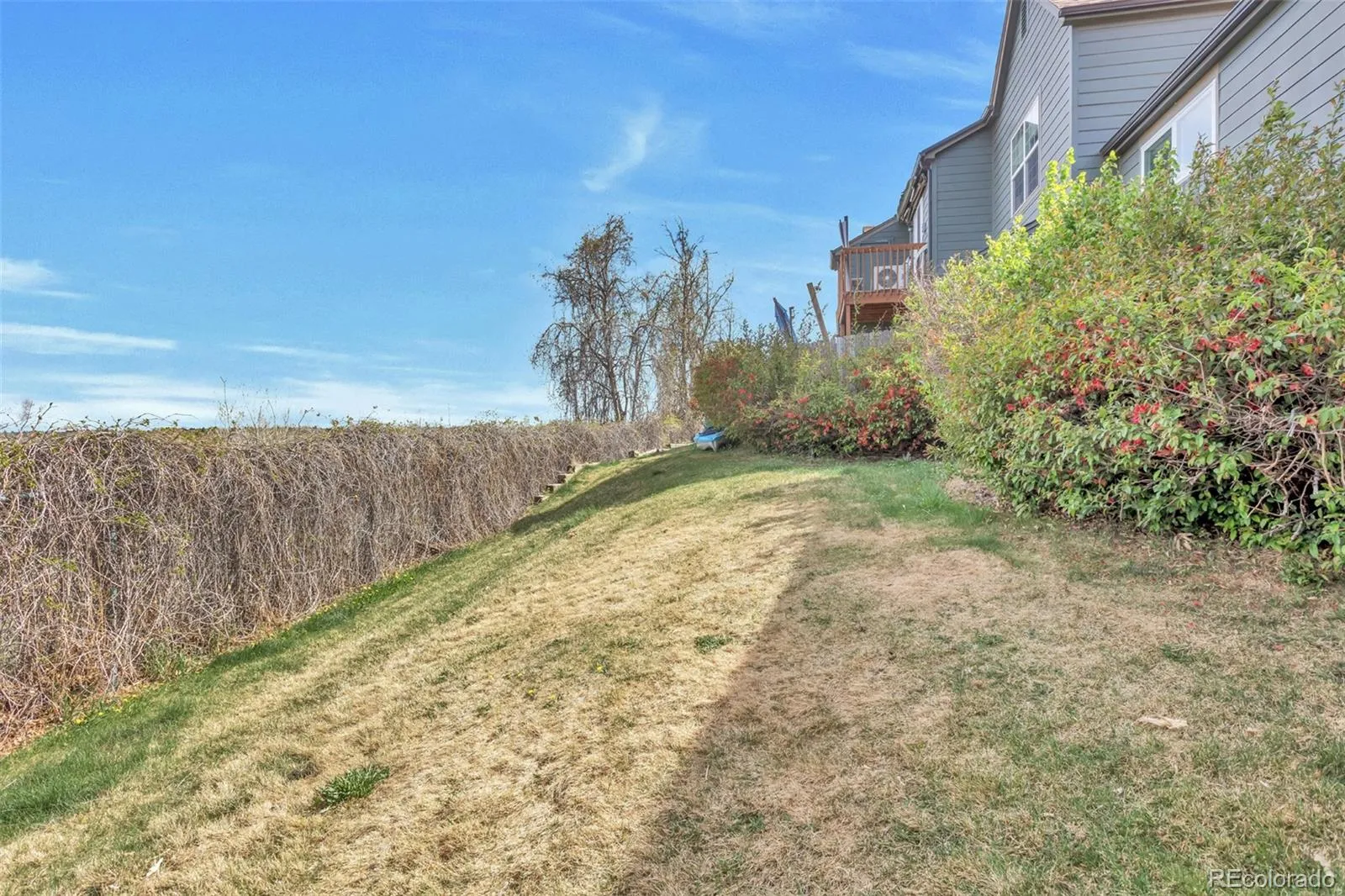 17477 E Rice Circle #A Aurora CO 80015 MLS #REC5081489 04212026223454 1600 20