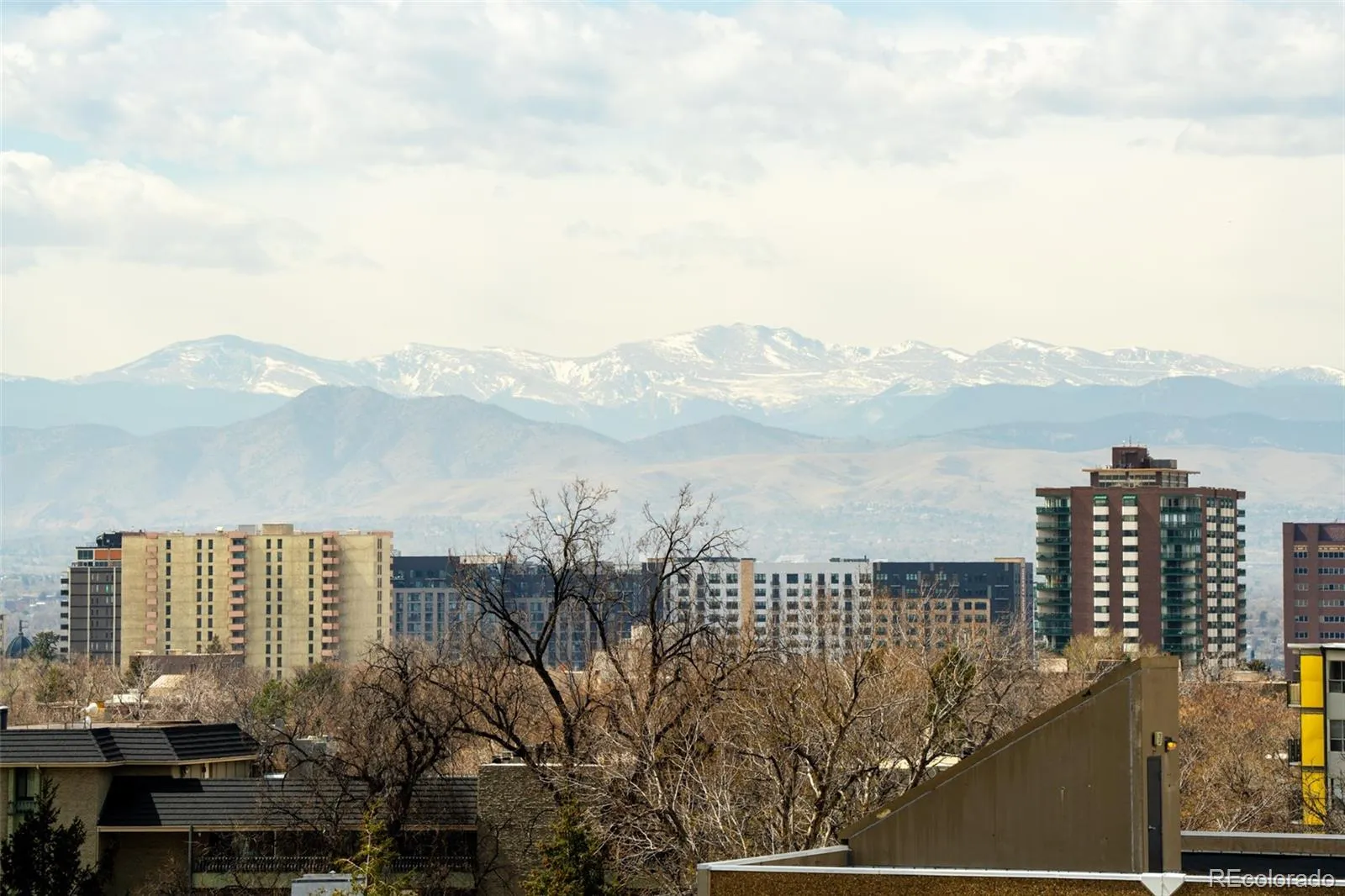 1313 N Williams Street #801 Denver CO 80218 MLS #REC5082307 05282026024231 1600 1