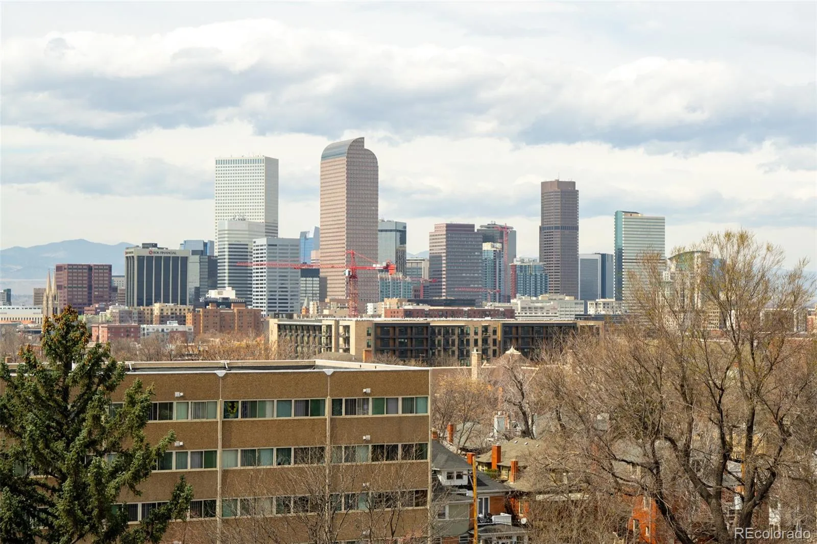 1313 N Williams Street #801 Denver CO 80218 MLS #REC5082307 05282026024231 1600 15