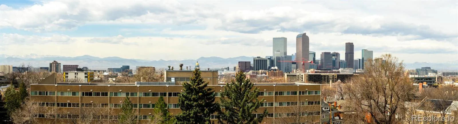 1313 N Williams Street #801 Denver CO 80218 MLS #REC5082307 05282026024231 1600 16