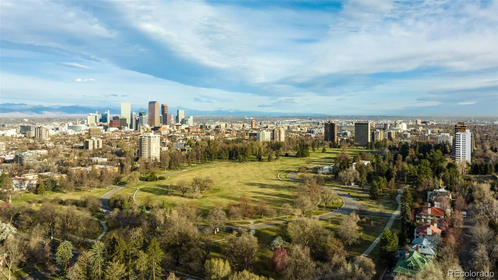 1313 N Williams Street #801 Denver CO 80218 MLS #REC5082307 05282026024231 1600 34