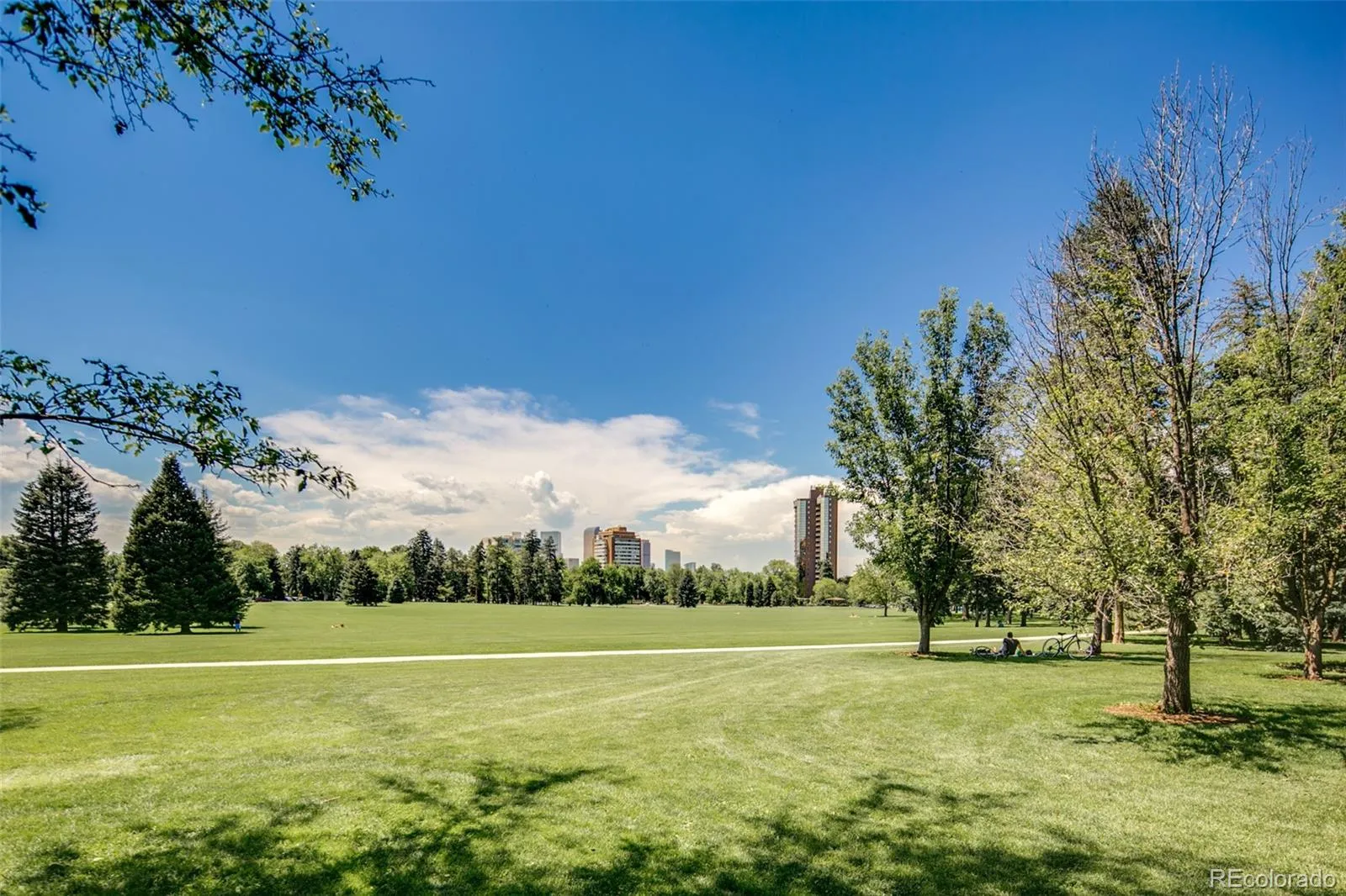1313 N Williams Street #801 Denver CO 80218 MLS #REC5082307 05282026024231 1600 36