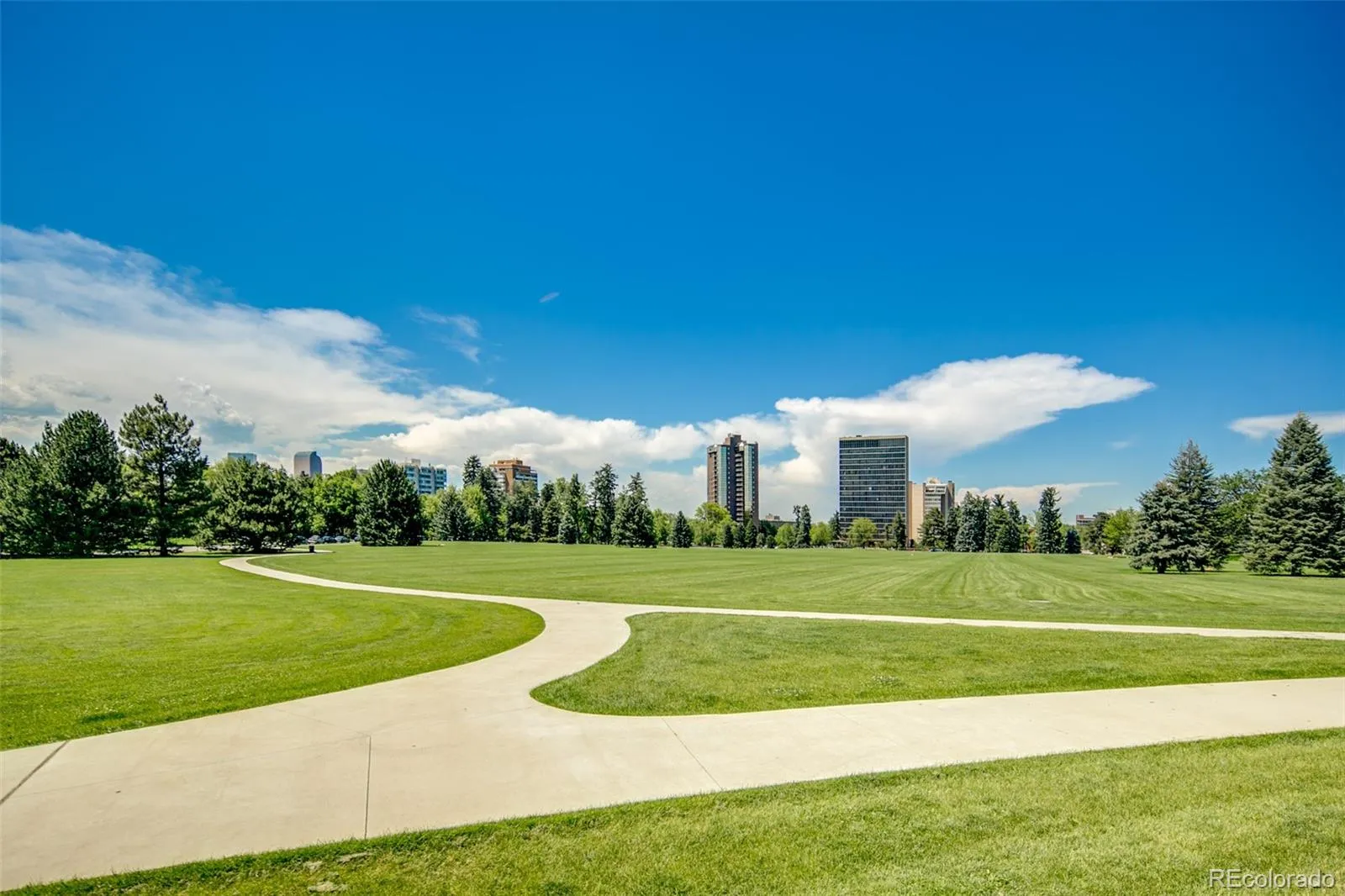 1313 N Williams Street #801 Denver CO 80218 MLS #REC5082307 05282026024231 1600 37