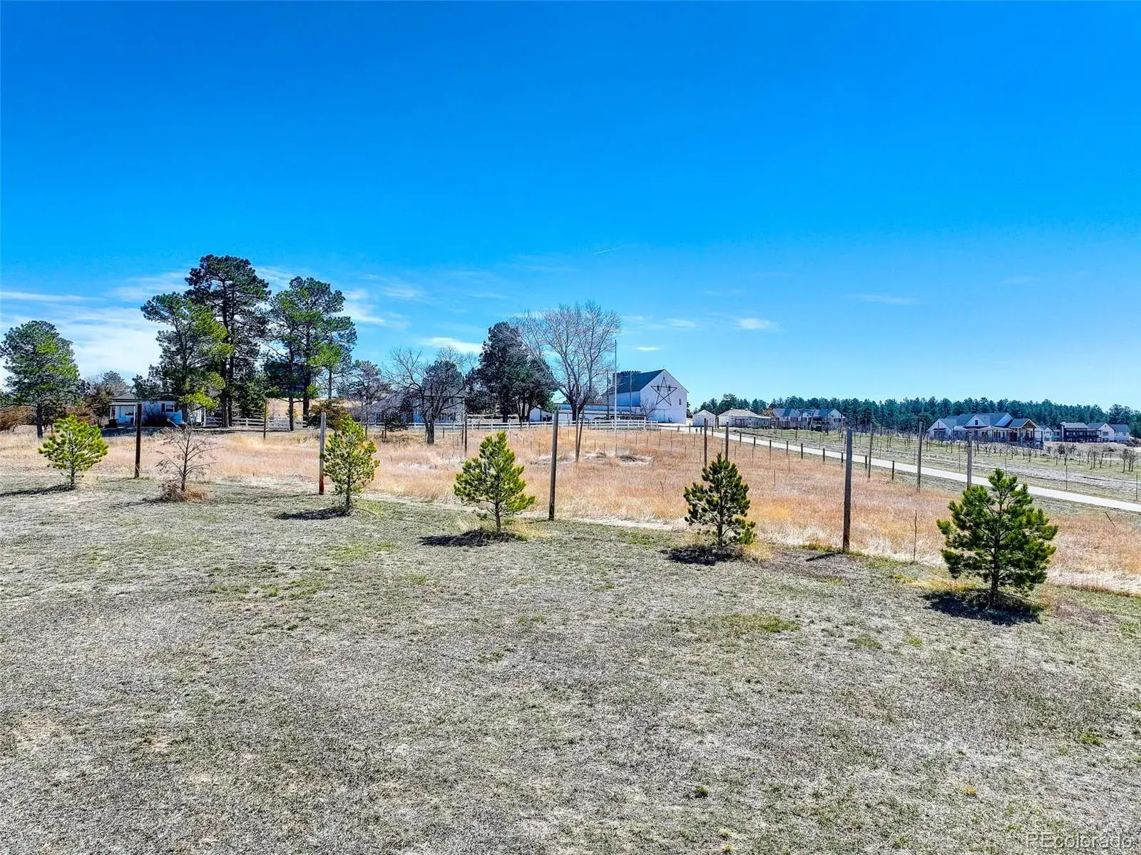 2568 Fox View Trail Franktown CO 80116 | MLS #REC5082785 06112025211932 1600 10